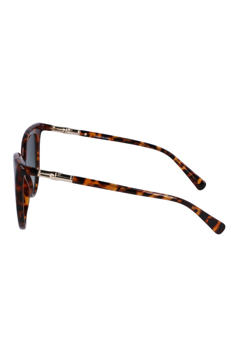 Roseau 53mm Gradient Cat Eye Sunglasses, Alternate, color, HAVANA
