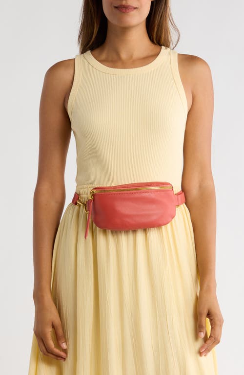 Hobo Fern Leather Belt Bag In Brown