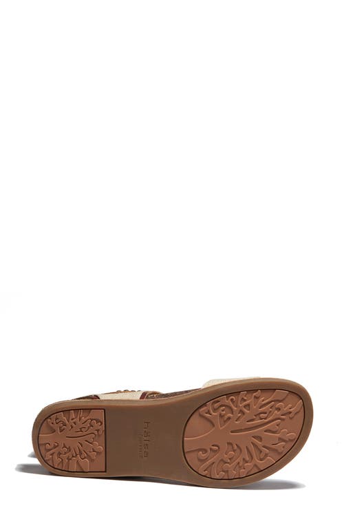 Halsa Footwear Hälsa Footwear Bari Sandal In Cognac/natural