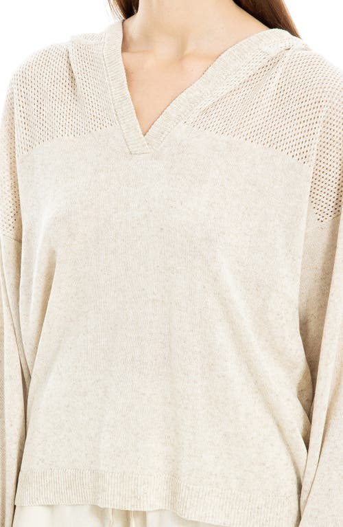 Max Studio Pointelle Hooded Sweater In Oyster