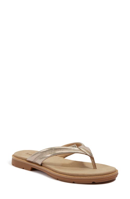 Timberland Calista Bay Flip Flop In Gold