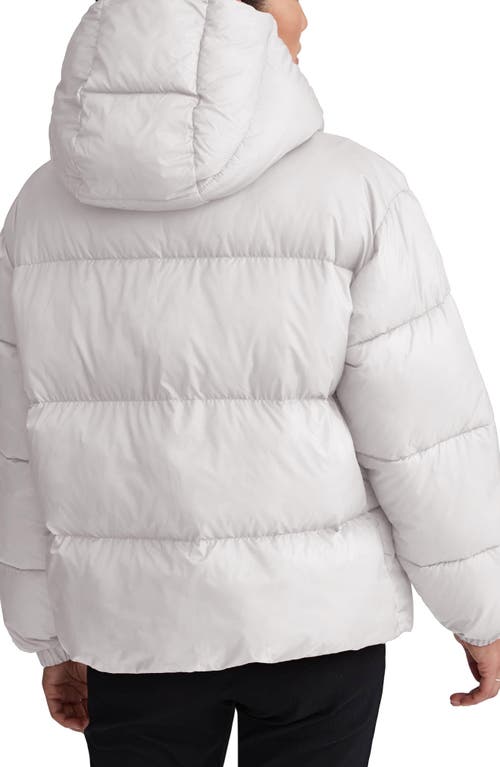 Nvlt Cire Wonder Puffer Jacket With Removable Hood In Animal Print