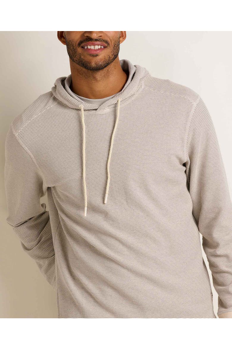Framer Long Sleeve Hoodie, Alternate, color, Heather Grey Stripe