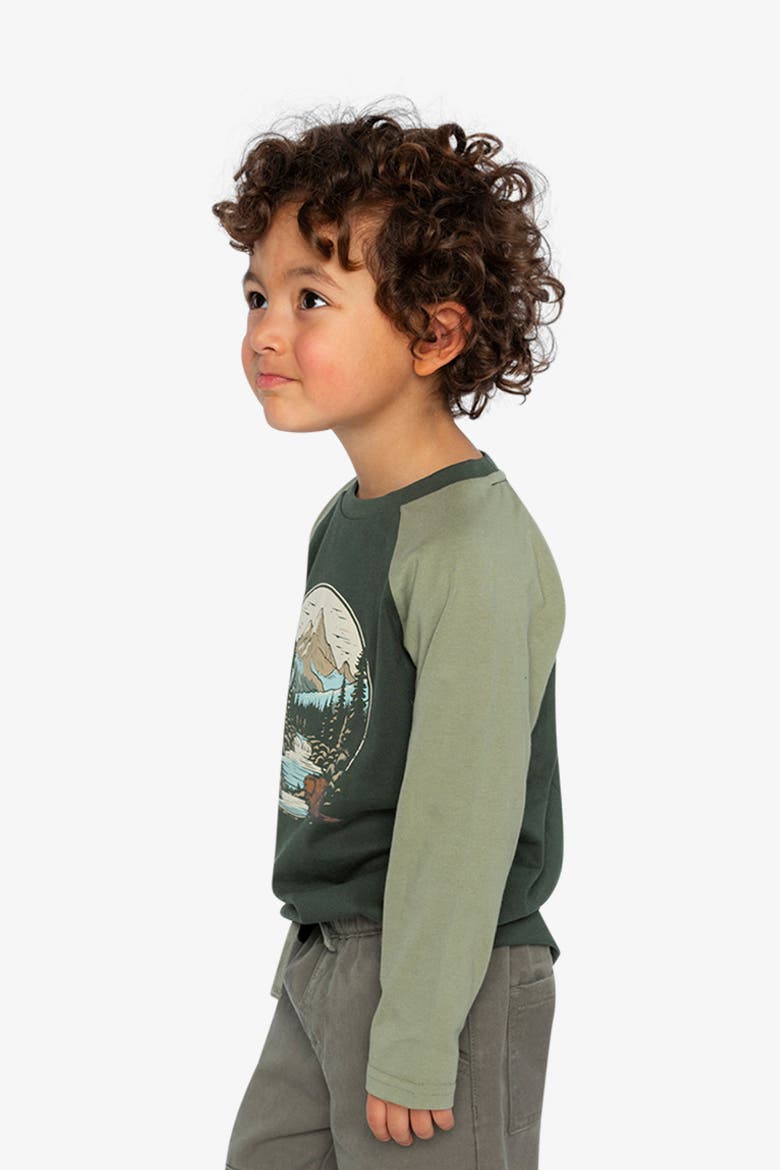 Cotton Raglan Sleeves Nature T-Shirt, Alternate, color, Jasper Printed Green