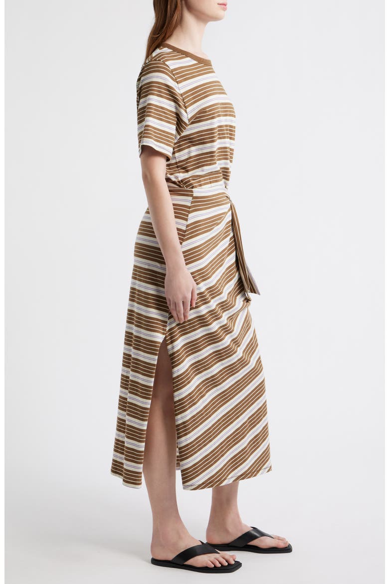The Slub Stripe T-Shirt Maxi Dress, Alternate, color, BROWN MULTI