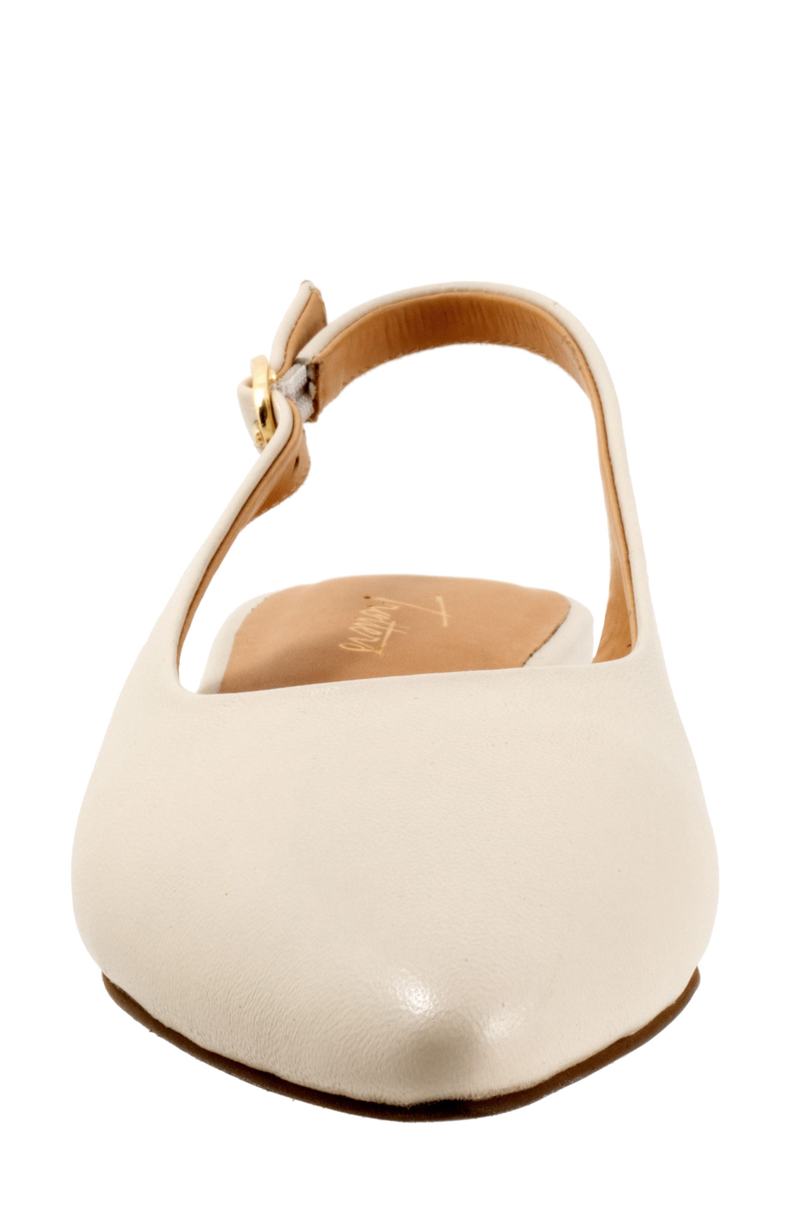 Evelyn Pointed Toe Slingback Flat - Multiple Widths Available, Alternate, color, IVORY