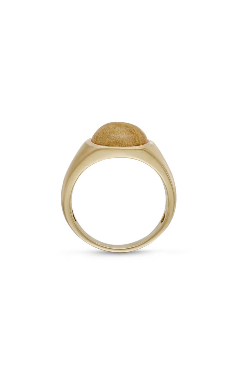 Wood Jasper Iconic Sterling Silver Men Signet Ring, Alternate, color, 14KT Gold Vermeil on Sterling