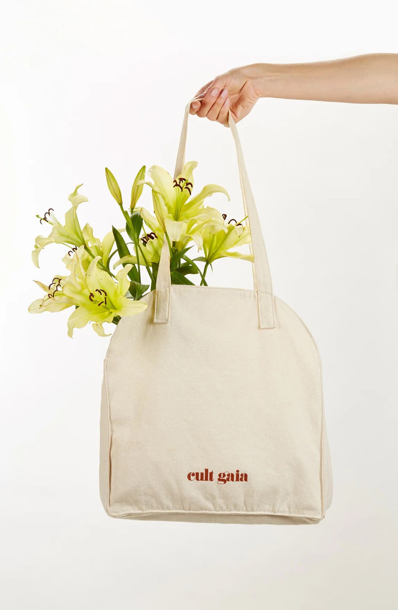 Cult Gaia Straw Woven Tote Bag, Main, color, 