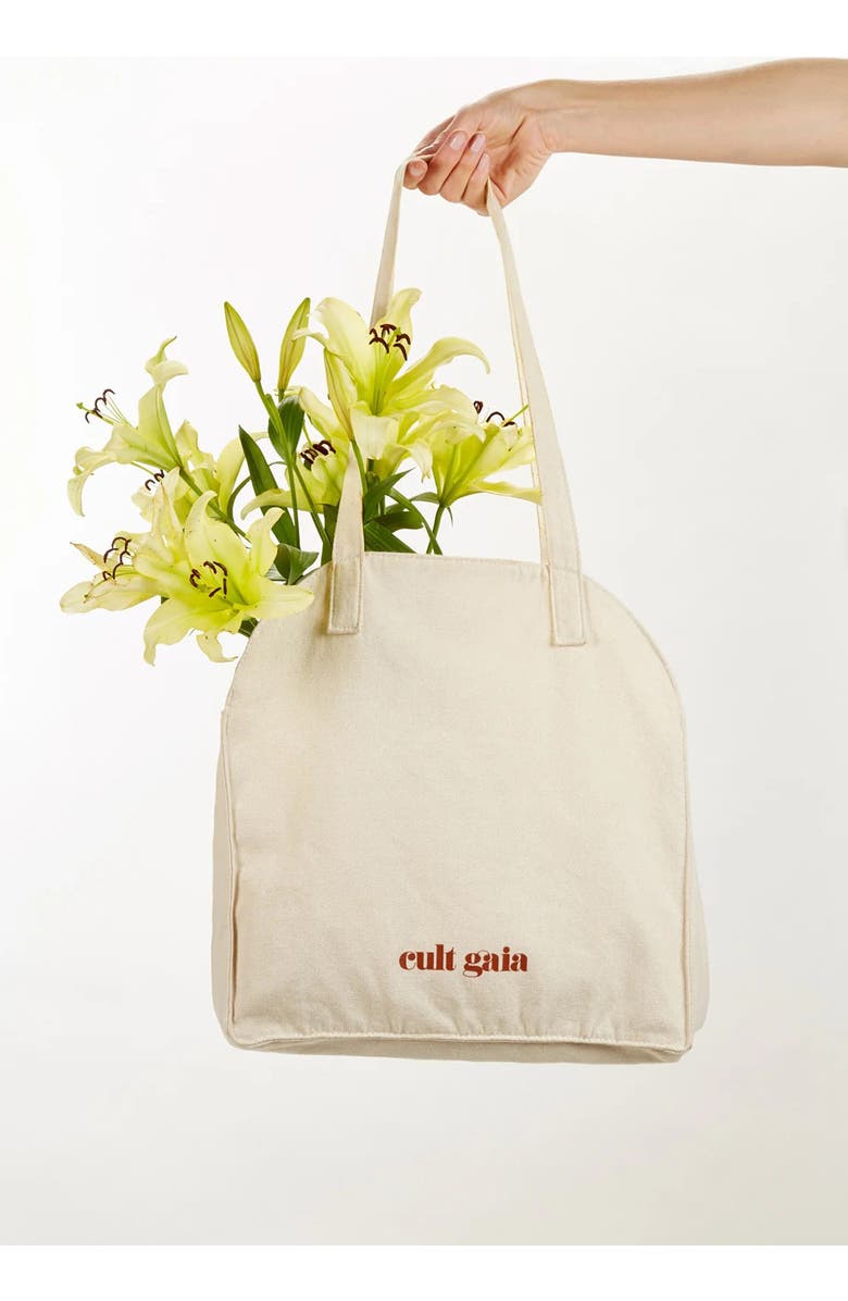 Cult Gaia Straw Woven Tote Bag, Main, color,