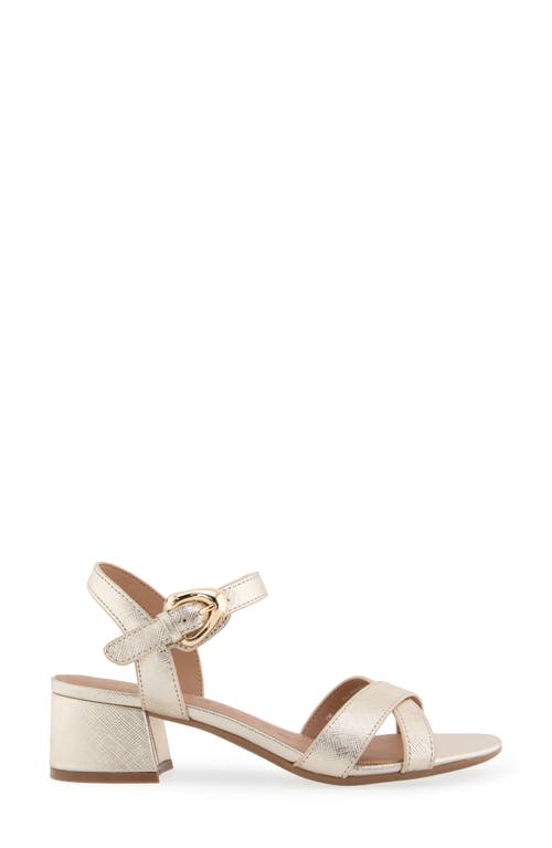 AEROSOLES AEROSOLES CINZIA BLOCK HEEL SANDAL