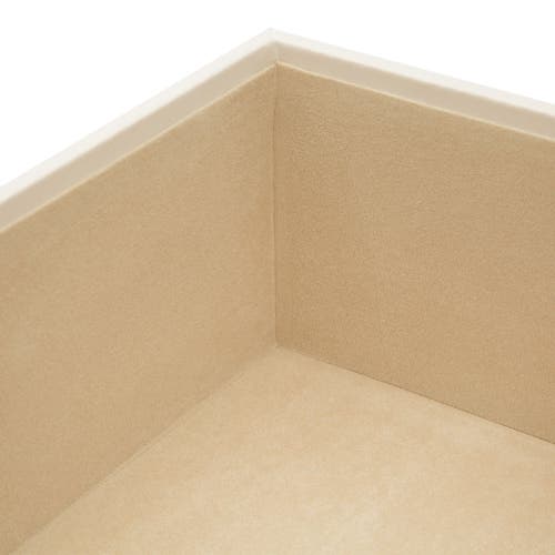 Wolf Vault 4" Deep Tray