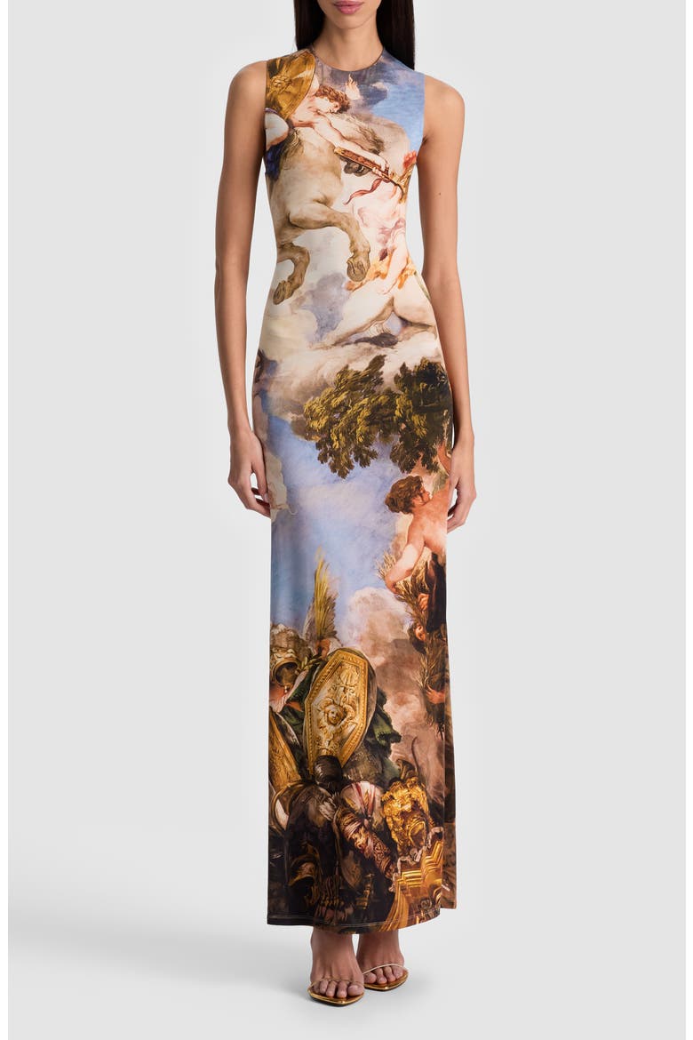 alice + olivia delora floral open back maxi dress reviews Alice and Olivia Delora Open Back Maxi Dress