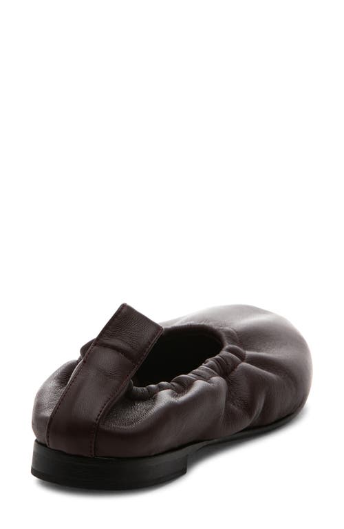 275 Central Vanna Flat In Burgundy