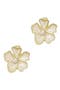 selected Gold/ White
