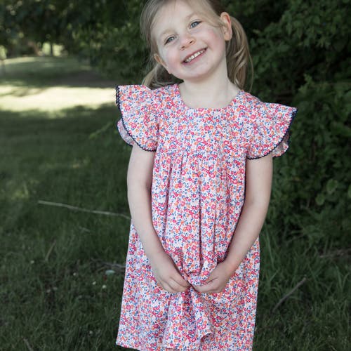 Beet World Girls Hannah Dress With Flutter Sleeves In Red And Blue