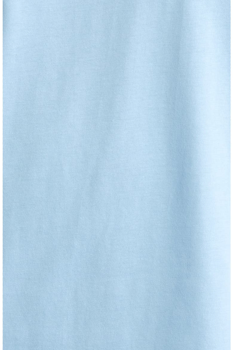 A Little Hair of the Dog Graphic T-shirt, Alternate, color, SEABANK SKY