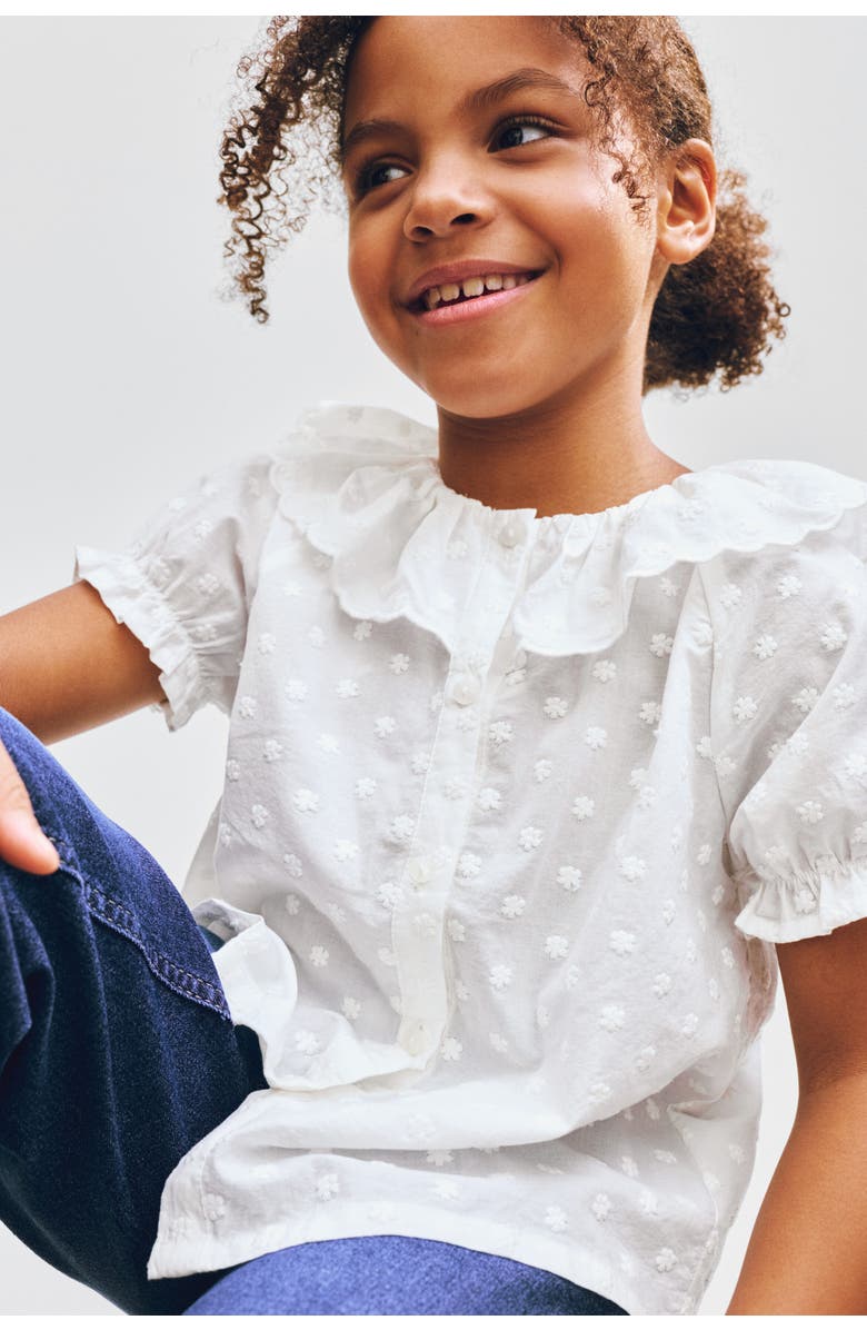 H&M Flounce-collar Embroidered Blouse, Alternate, color, Cream