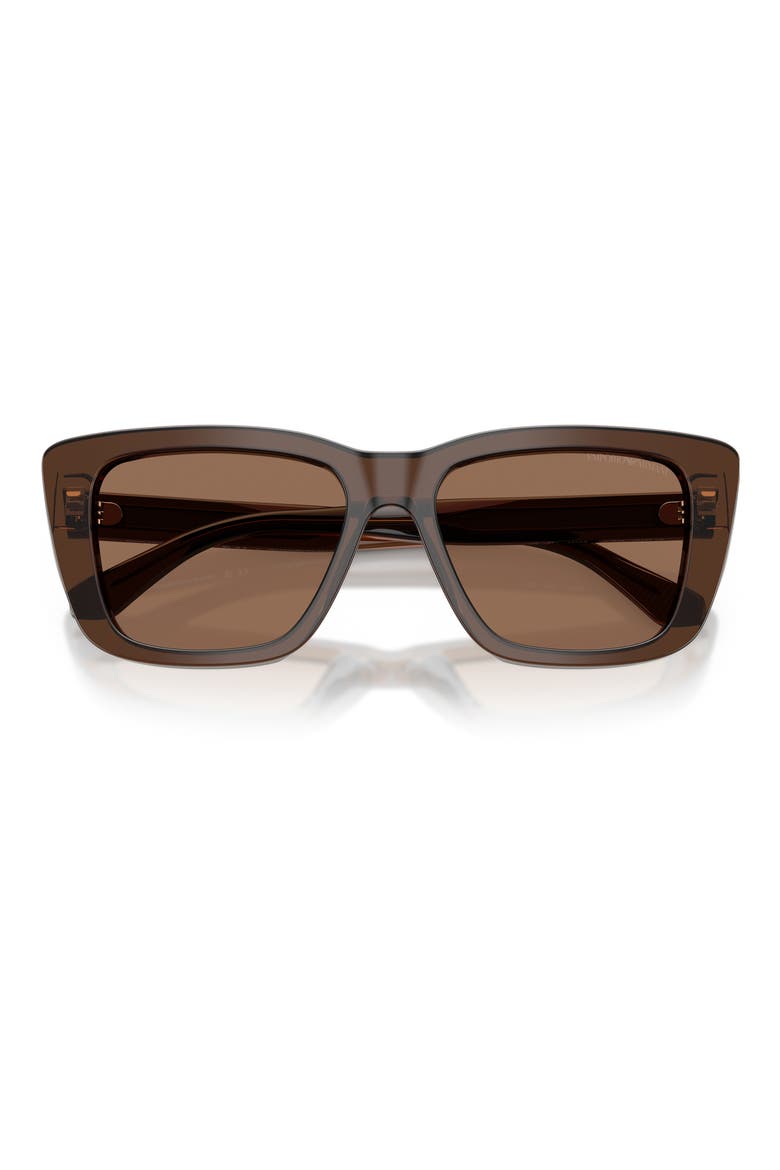 54mm Cat Eye Sunglasses, Alternate, color, SHINY BROWN / DARK BROWN