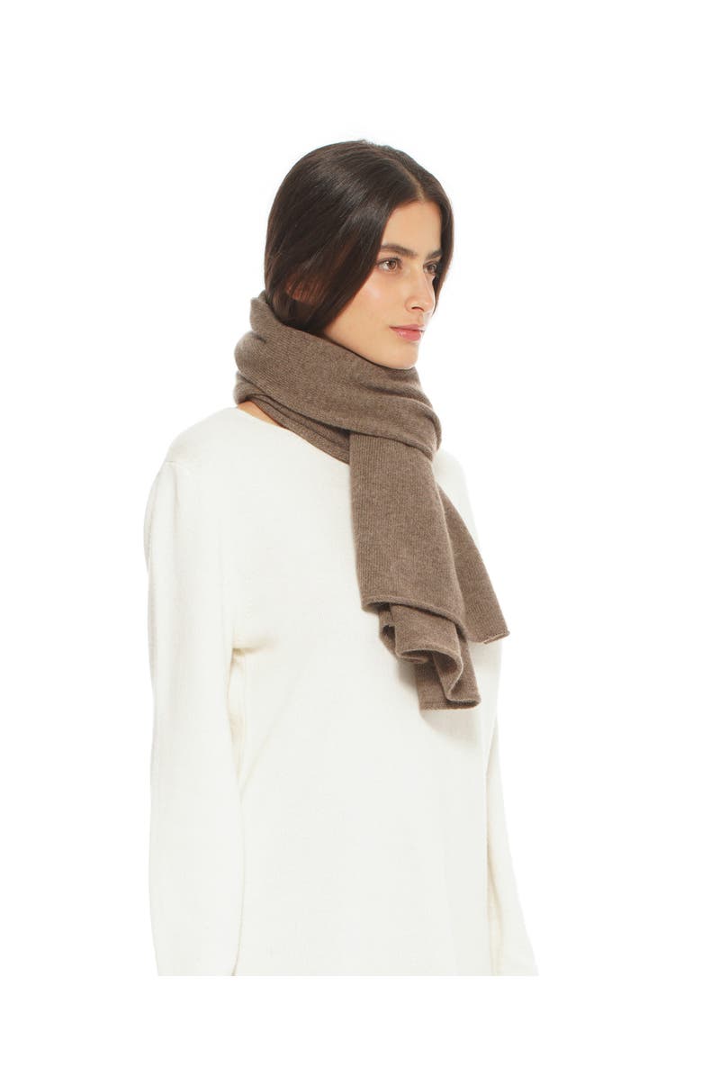 Monticelli Cashmere Pure Cashmere Cloud-Soft Scarf, Alternate, color, Brown