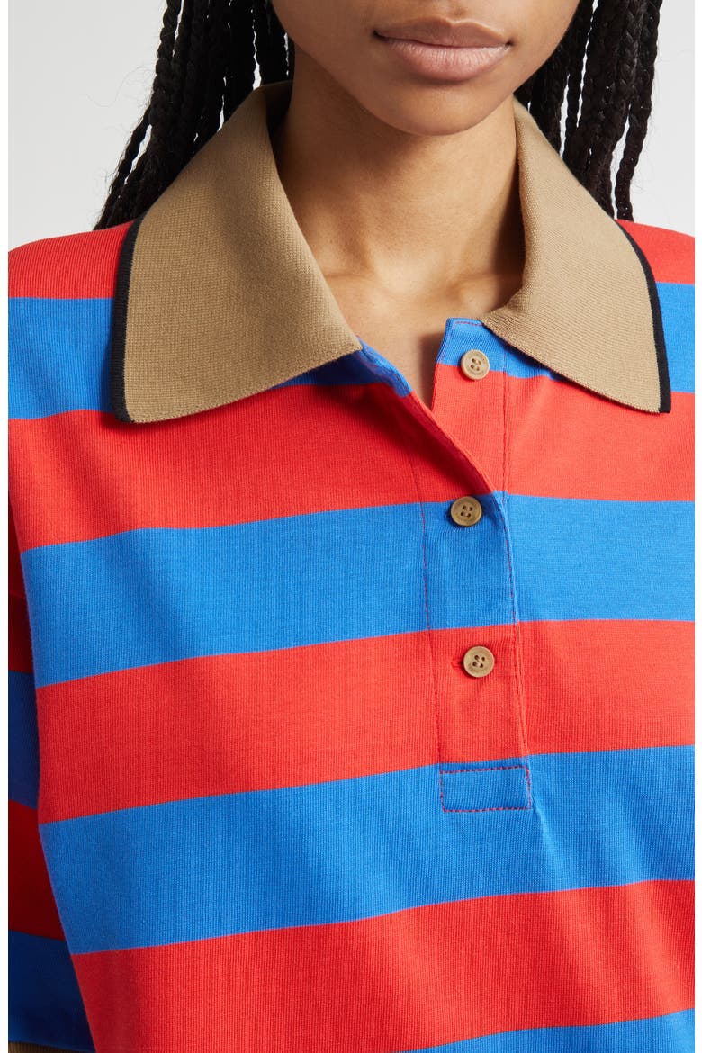 Referenssi Stripe Cotton Polo Tunic, Alternate, color, BLUE RED