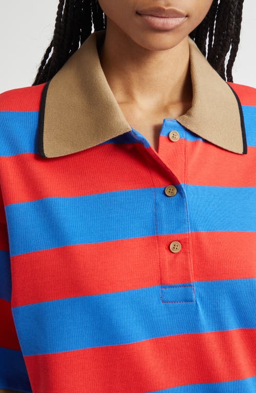 Marimekko Referenssi Stripe Cotton Polo Tunic In Multi