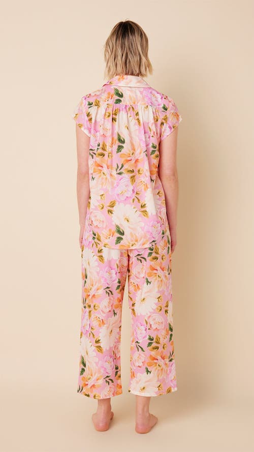 The Cat's Pajamas Luxe Pima Capri Set