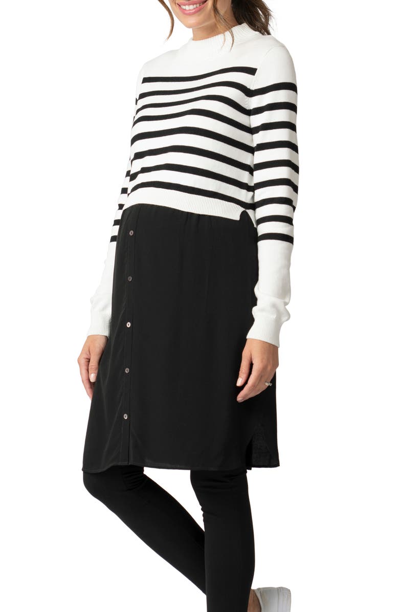 Seraphine Button Front Dress & Stripe Sweater Maternity/Nursing Set, Alternate, color, 
