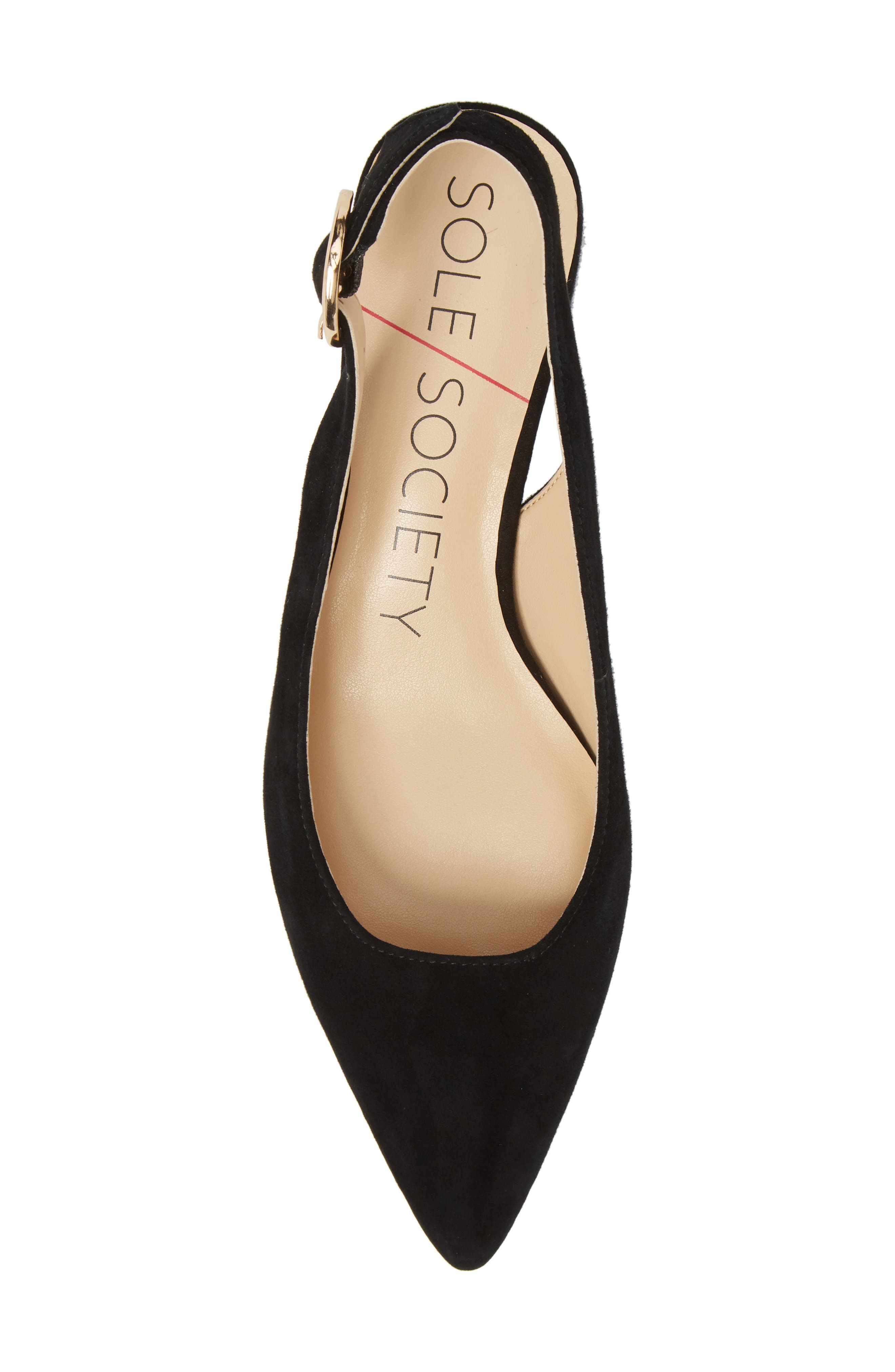 Sole Society Mariol Slingback Pump, Alternate, color, 