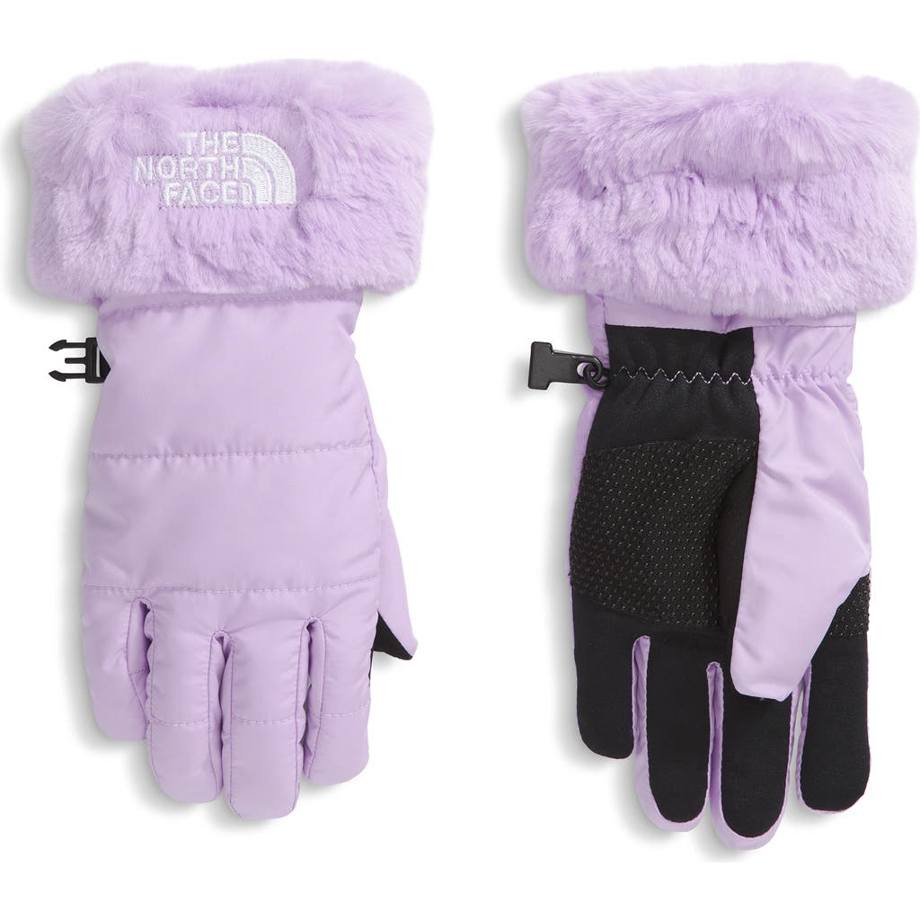 The North Face Kids' Shasta Water Repellent Gloves In Purple