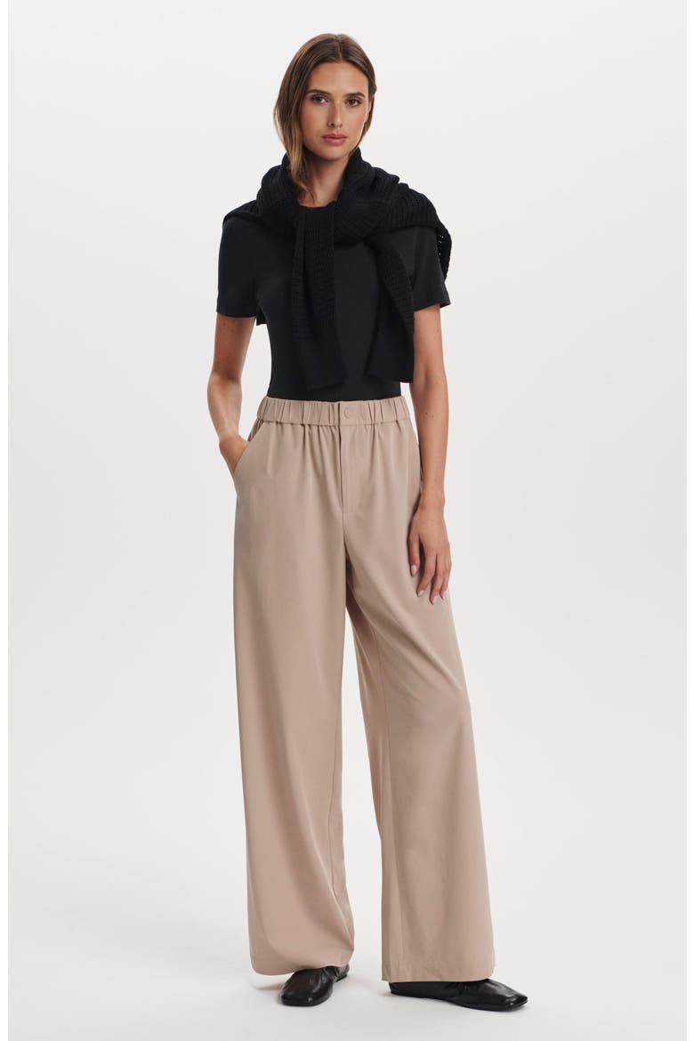 Kayson 2.0 Wide Leg Pants, Alternate, color, SIMPLY TAUPE