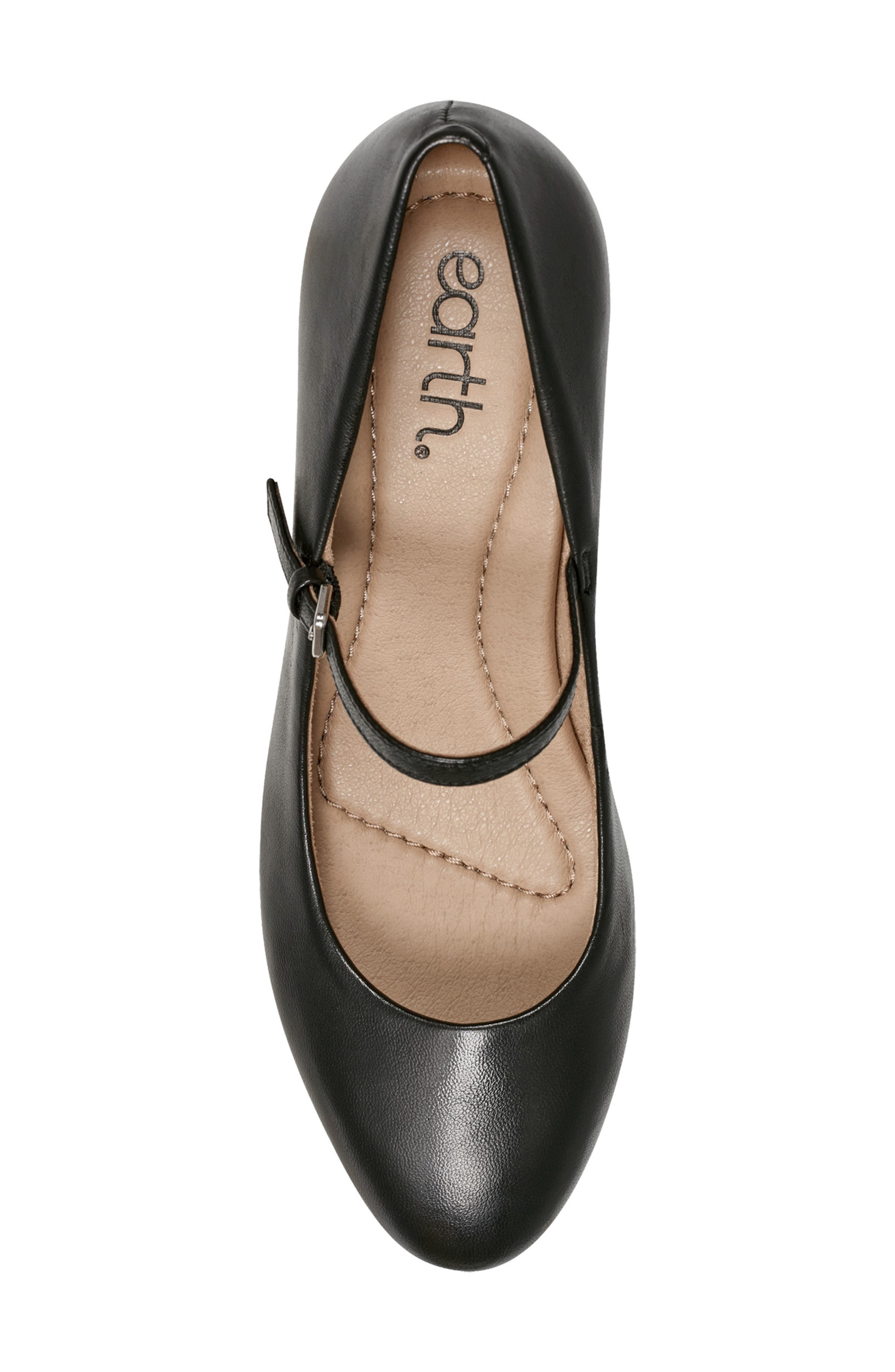 Earth<sup>®</sup> Rumer Mary Jane Pump, Alternate, color, Black