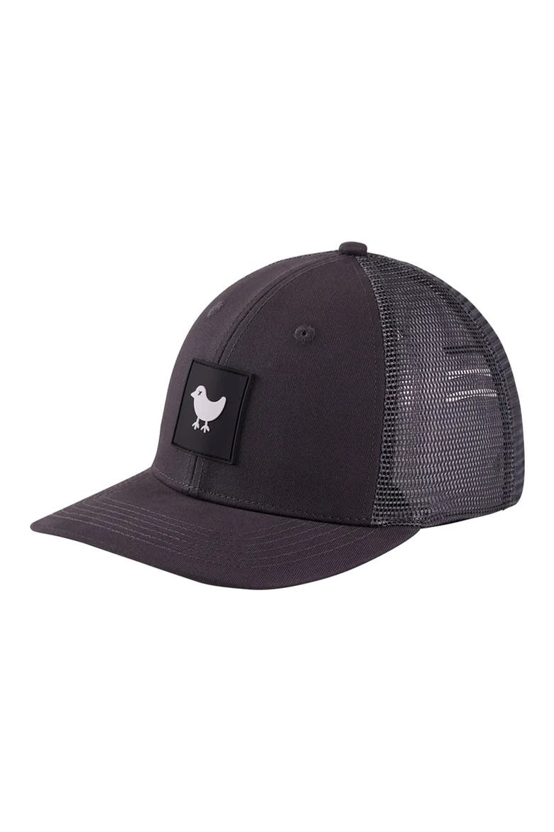 Logo Trucker Hat, Alternate, color, CHARCOAL
