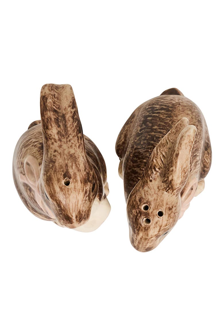 Clever Creatures Bunny Salt & Pepper Shakers Set, Alternate, color, WALNUT