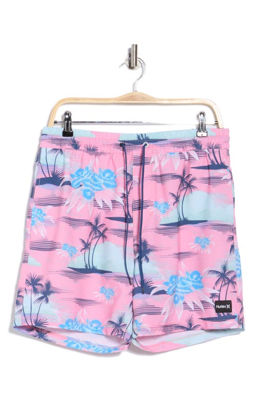 Hurley Cannonball Volley Swim Trunks In Multi