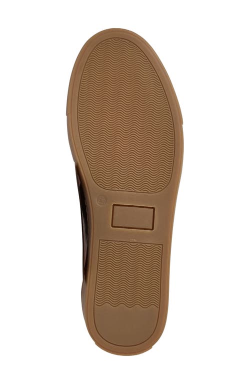 Bruno Magli Ryan Low Top Sneaker In Brown