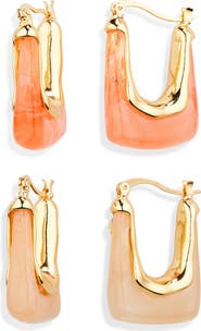 Tasha Set of 2 Resin Oval Hoop Earrings
