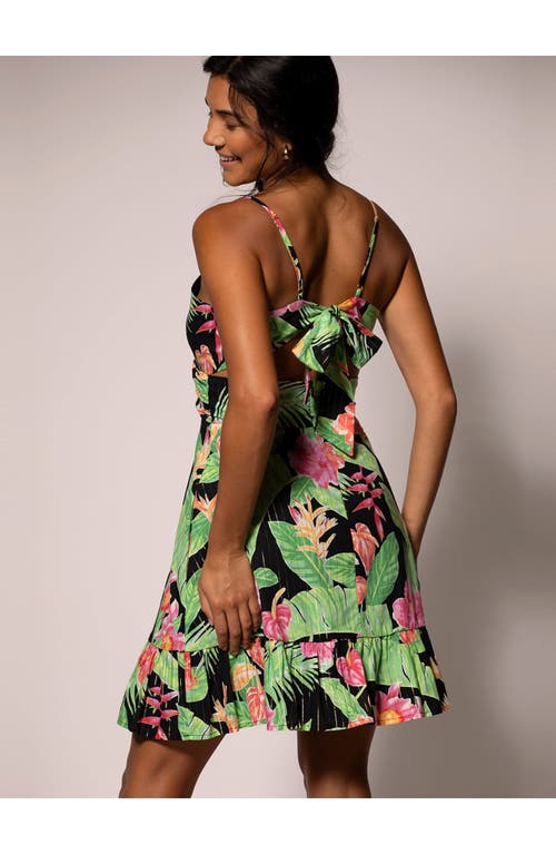 Tori Richard Midnight Blossom Loretta Dress In Black