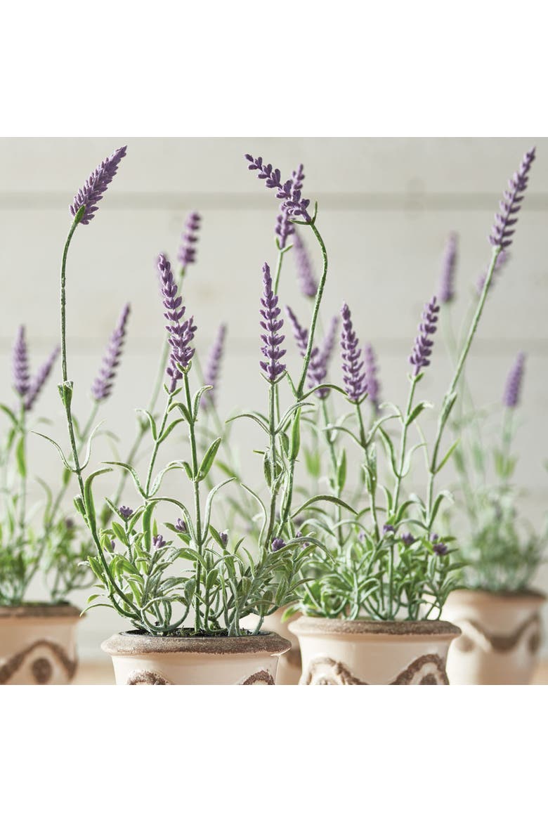 French Lavender Drop-In 13" Set of 6, Alternate, color, White