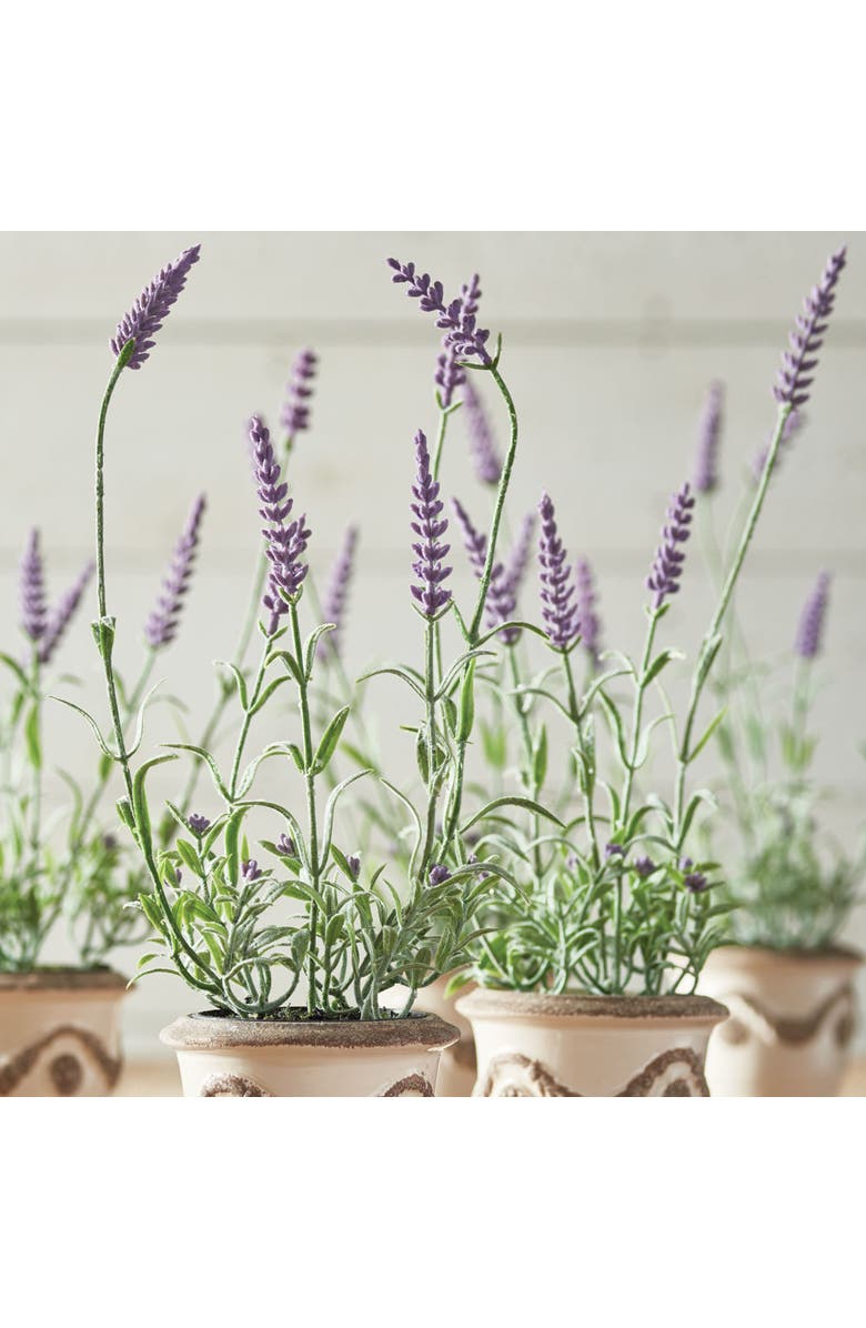 Napa Home & Garden French Lavender Drop-In 13" Set of 6, Alternate, color, 