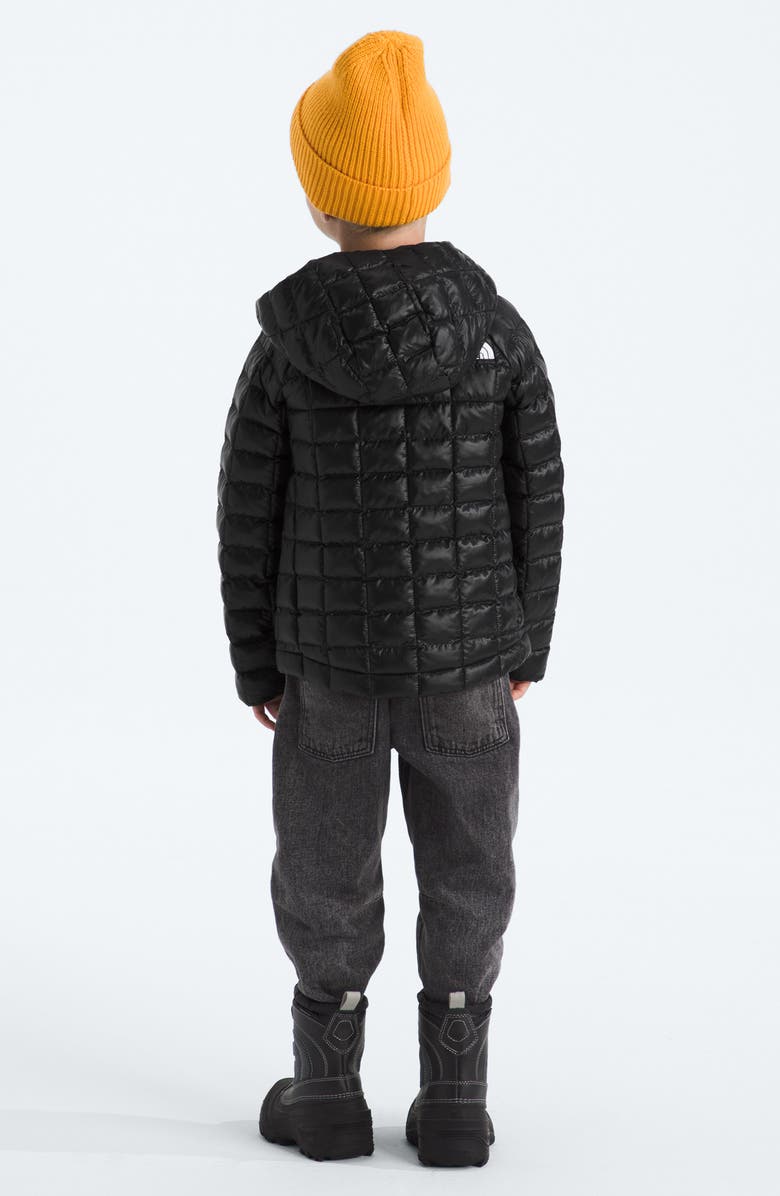 The North Face Kids' ThermoBall<sup>™</sup> Eco Hooded Jacket, Alternate, color, Tnf Black
