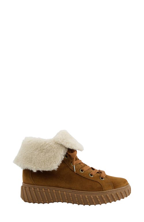 Paul Green Cozy Wool Lined Sneaker In Brown