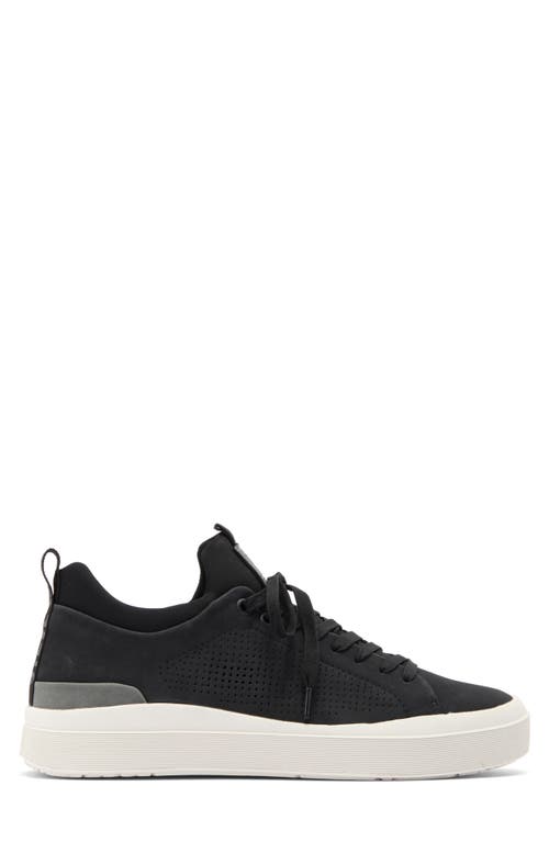 STEVE MADDEN STEVE MADDEN PYPER SNEAKER