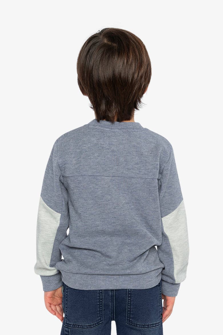 Colorblock Sporty Brushed Jersey Top with Chest Pocket, Alternate, color, Blue-Grey