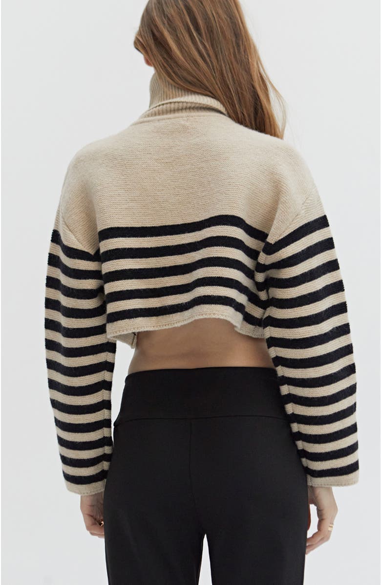 CRESCENT Turtleneck Striped Crop Sweater, Alternate, color, Taupe/Black