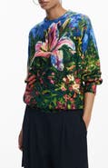 Desigual Print Pullover