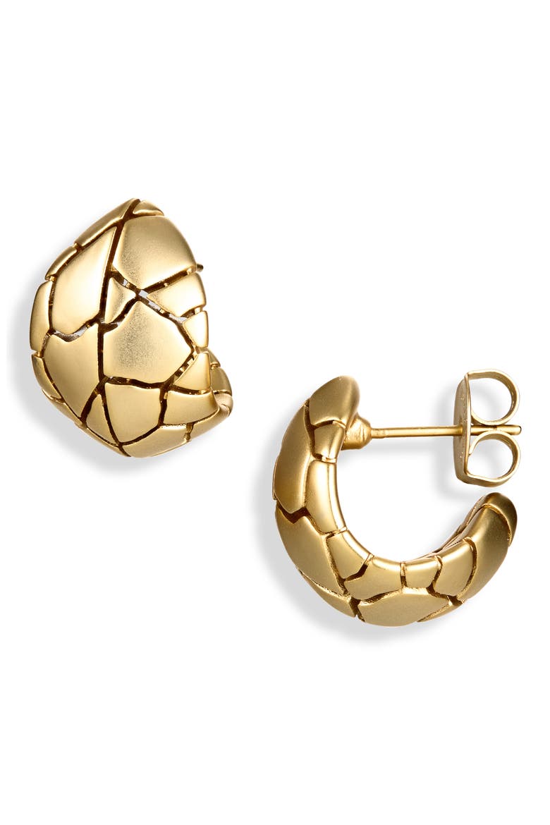 Byron Hoop Earrings, Main, color, GOLD