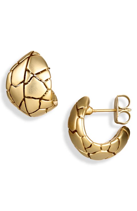 Byron Hoop Earrings