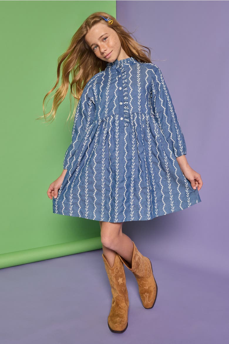 Kids' Amelia Dress, Alternate, color, Chamonix Chambray Embroidery