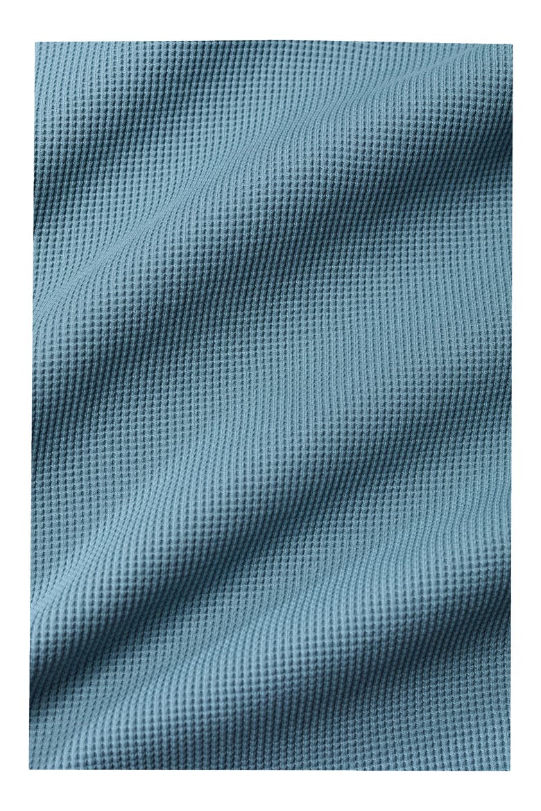 Brigantine Waffle Knit Organic Cotton Henley, Alternate, color, HYDRANGEA