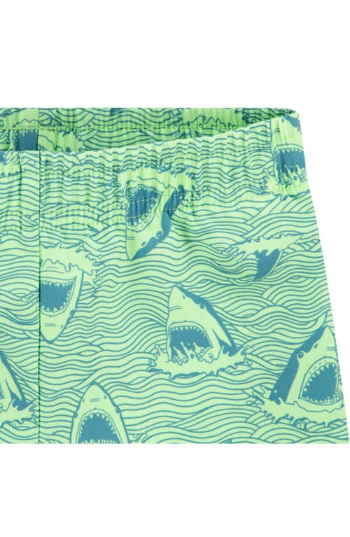 Hurley Shark Head Rashguard & Swim Shorts Set In Faded Green
